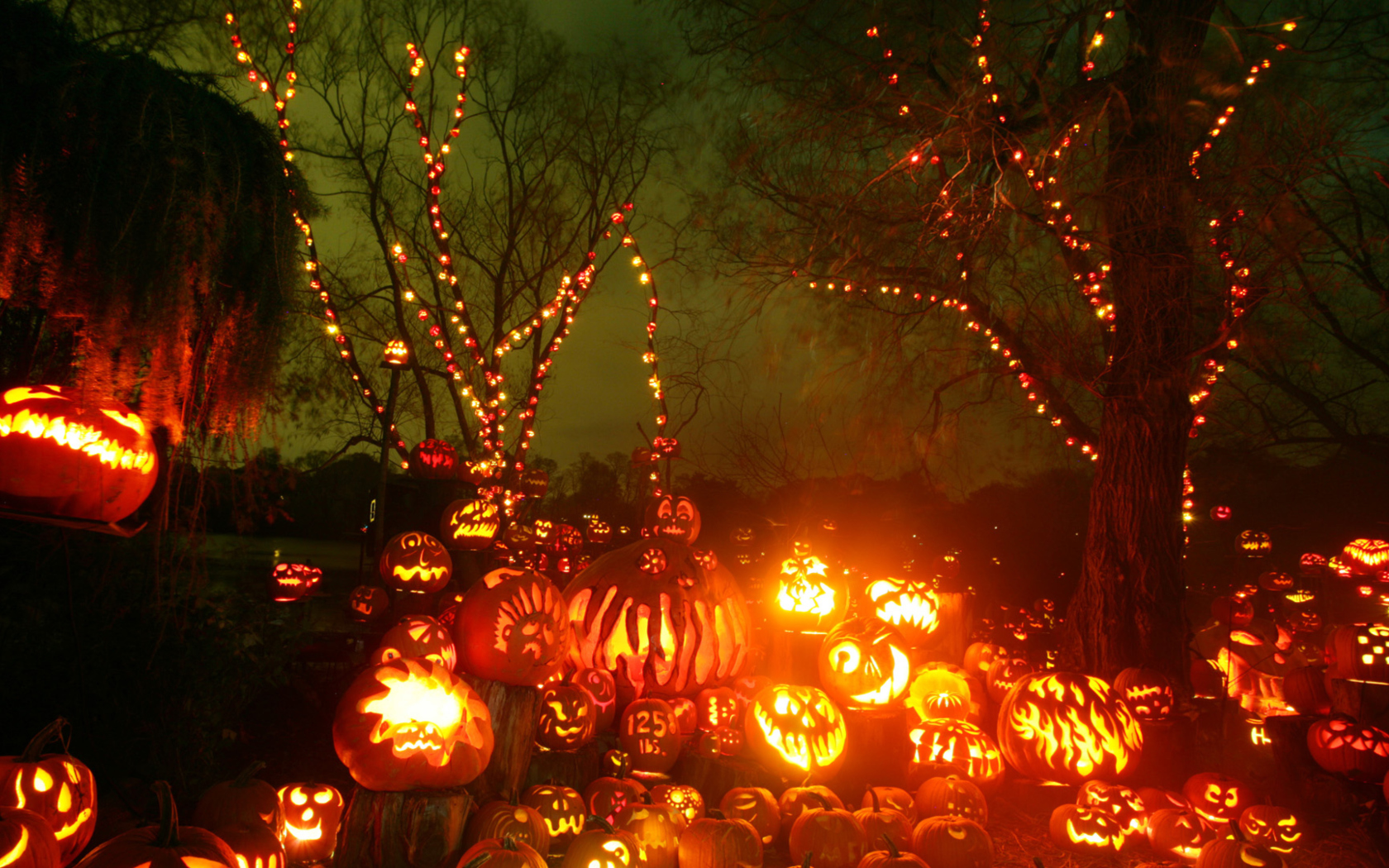 Fondo de pantalla Halloween Pumpkins 1680x1050