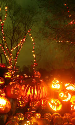 Fondo de pantalla Halloween Pumpkins 240x400