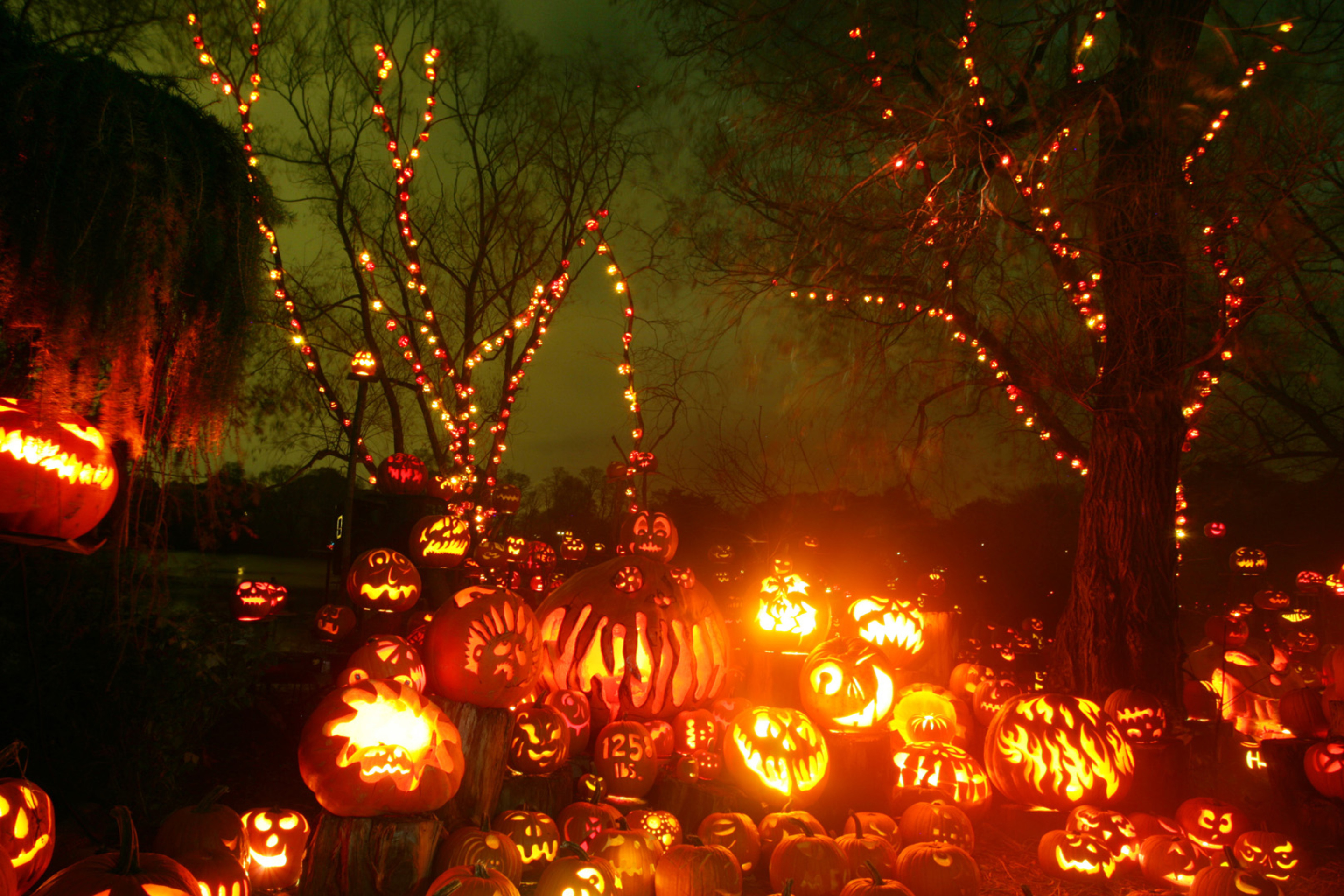 Screenshot №1 pro téma Halloween Pumpkins 2880x1920