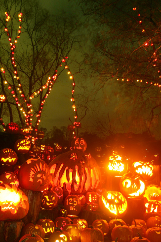 Sfondi Halloween Pumpkins 640x960