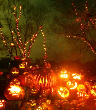 Halloween Pumpkins sfondi gratuiti per HTC Pure