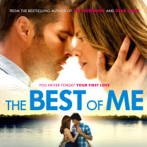 Screenshot №1 pro téma The Best of Me 208x208