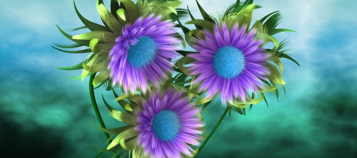Sfondi Purple Flowers 720x320