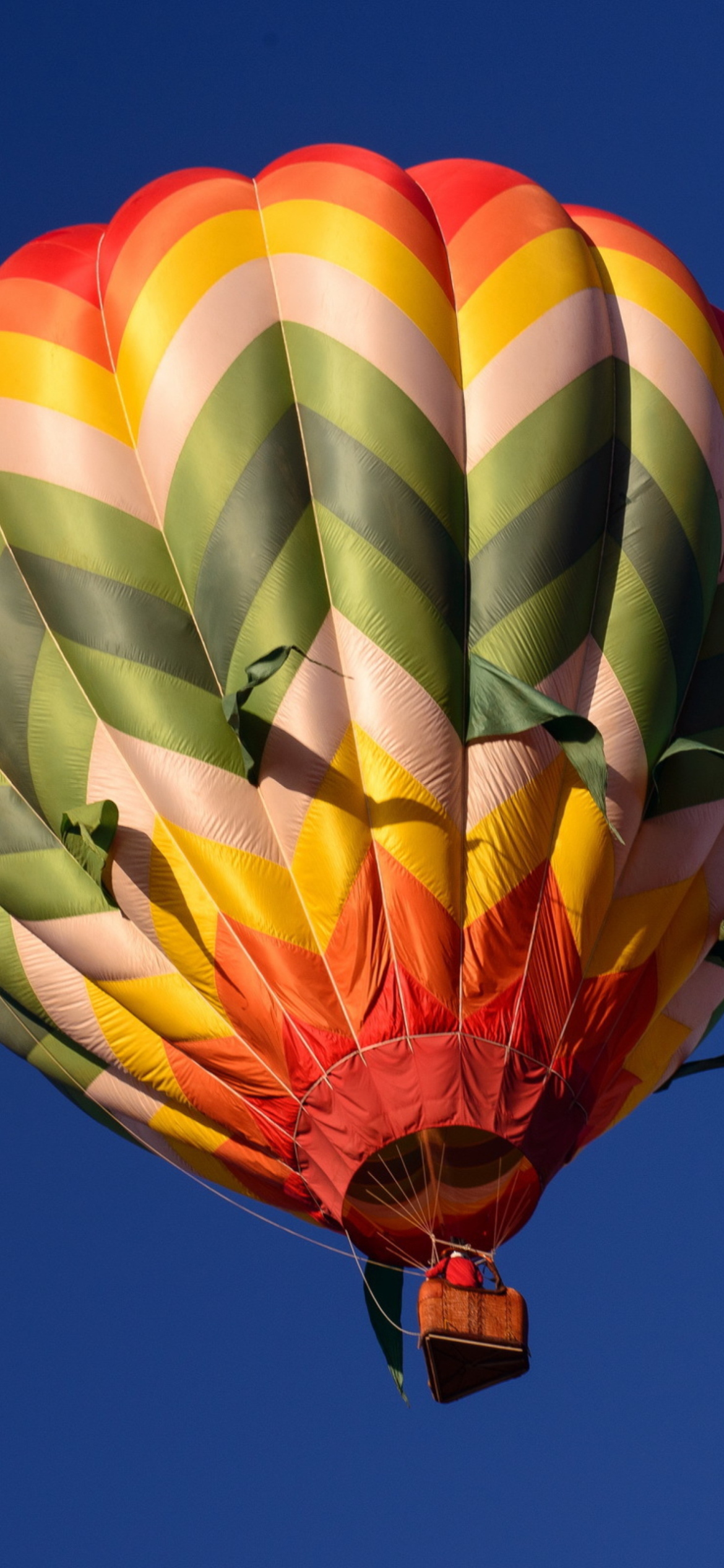 Big Colorful Air Balloon wallpaper 1170x2532