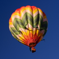 Fondo de pantalla Big Colorful Air Balloon 208x208