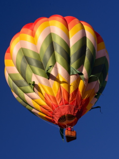 Fondo de pantalla Big Colorful Air Balloon 240x320
