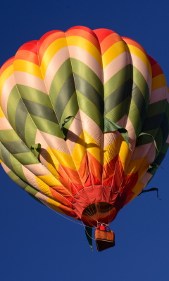Big Colorful Air Balloon wallpaper 240x400