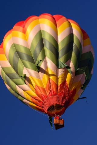 Das Big Colorful Air Balloon Wallpaper 320x480