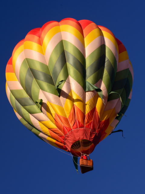 Big Colorful Air Balloon screenshot #1 480x640