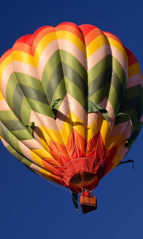 Fondo de pantalla Big Colorful Air Balloon 480x800