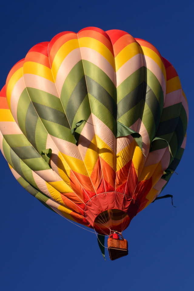 Das Big Colorful Air Balloon Wallpaper 640x960