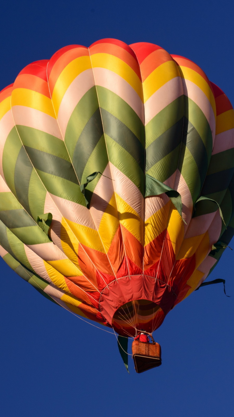 Big Colorful Air Balloon wallpaper 750x1334
