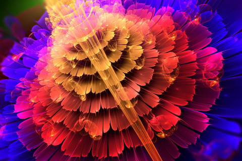 Colorful Form wallpaper 480x320