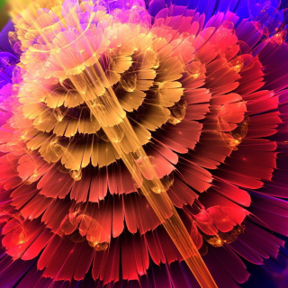 Colorful Form Wallpaper for iPad 2