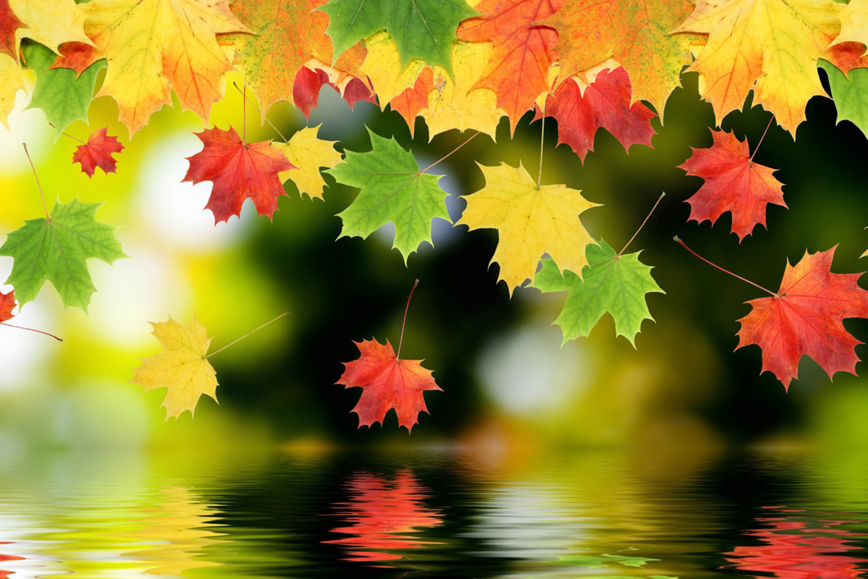 Screenshot №1 pro téma Falling Leaves 2880x1920