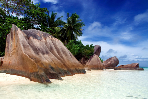 Seven Mile Beach, Grand Cayman wallpaper 480x320