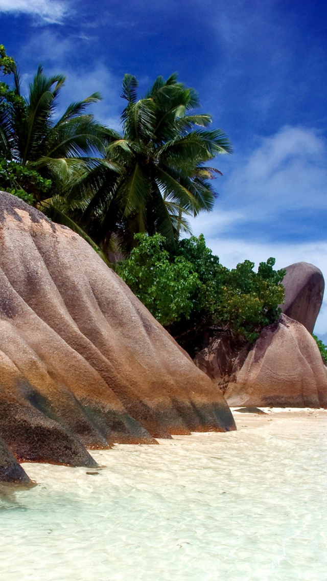 Seven Mile Beach, Grand Cayman wallpaper 640x1136