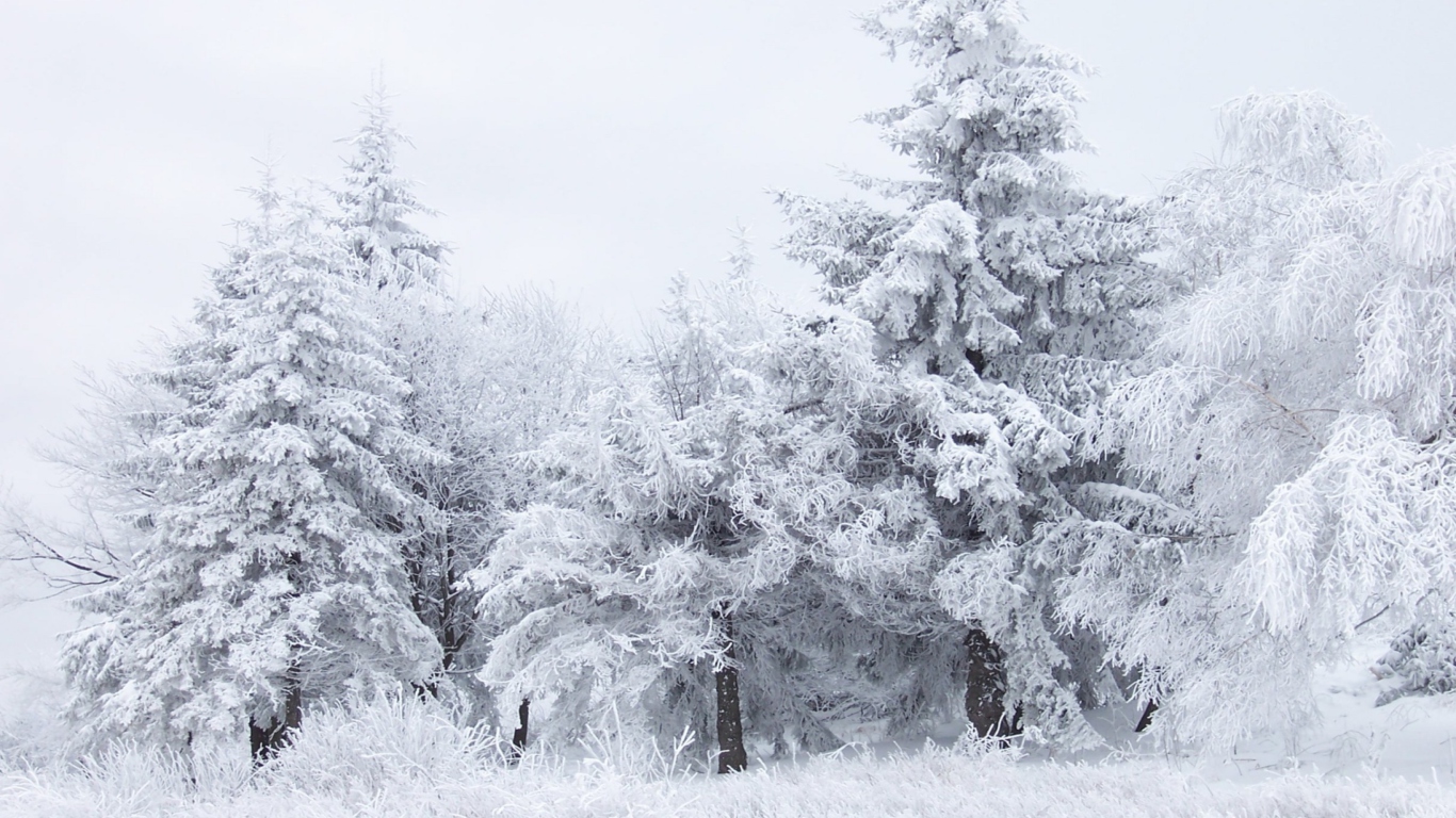 Screenshot №1 pro téma Shipka Pass Balkan Mountains 1366x768