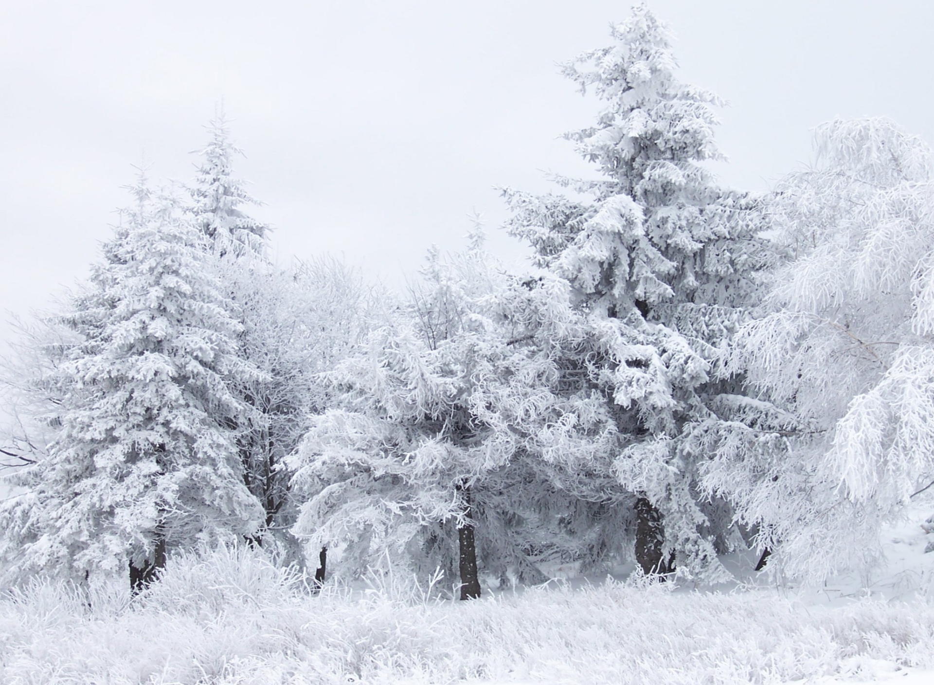 Das Shipka Pass Balkan Mountains Wallpaper 1920x1408