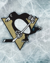 Das Sports - Nhl - Pittsburgh Penguins Wallpaper 176x220