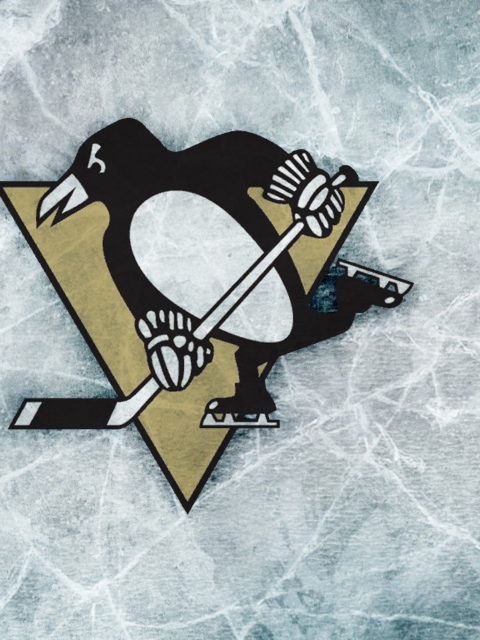 Das Sports - Nhl - Pittsburgh Penguins Wallpaper 480x640