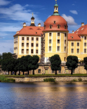 Обои Moritzburg Castle in Saxony 176x220