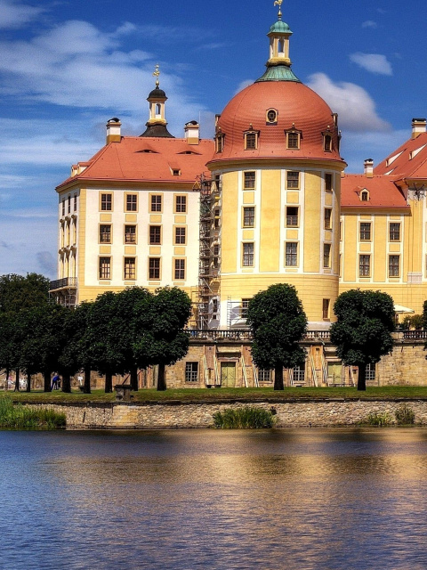 Fondo de pantalla Moritzburg Castle in Saxony 480x640