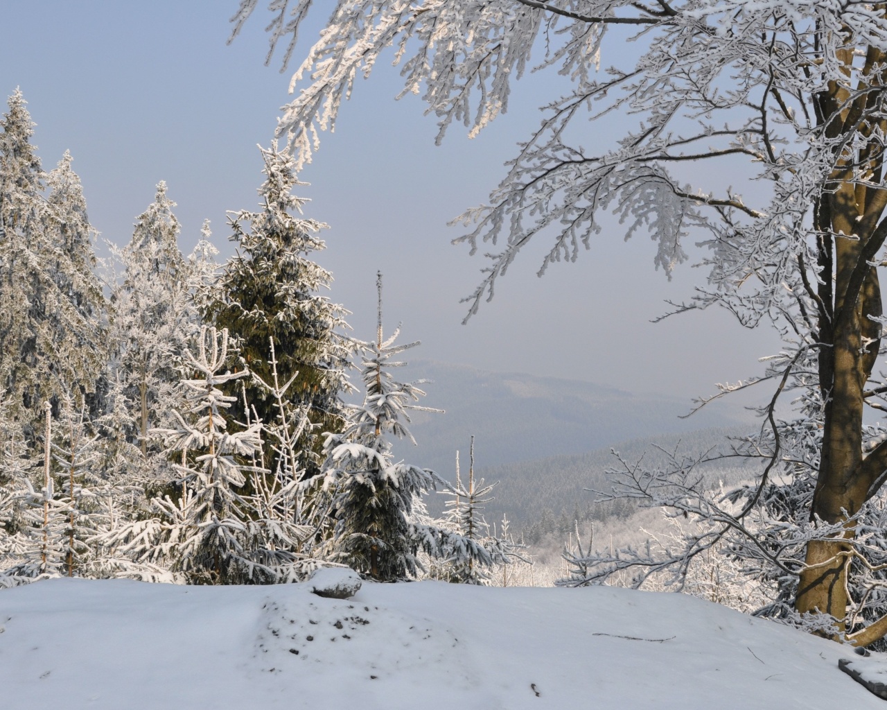 Snow landscape screenshot #1 1280x1024