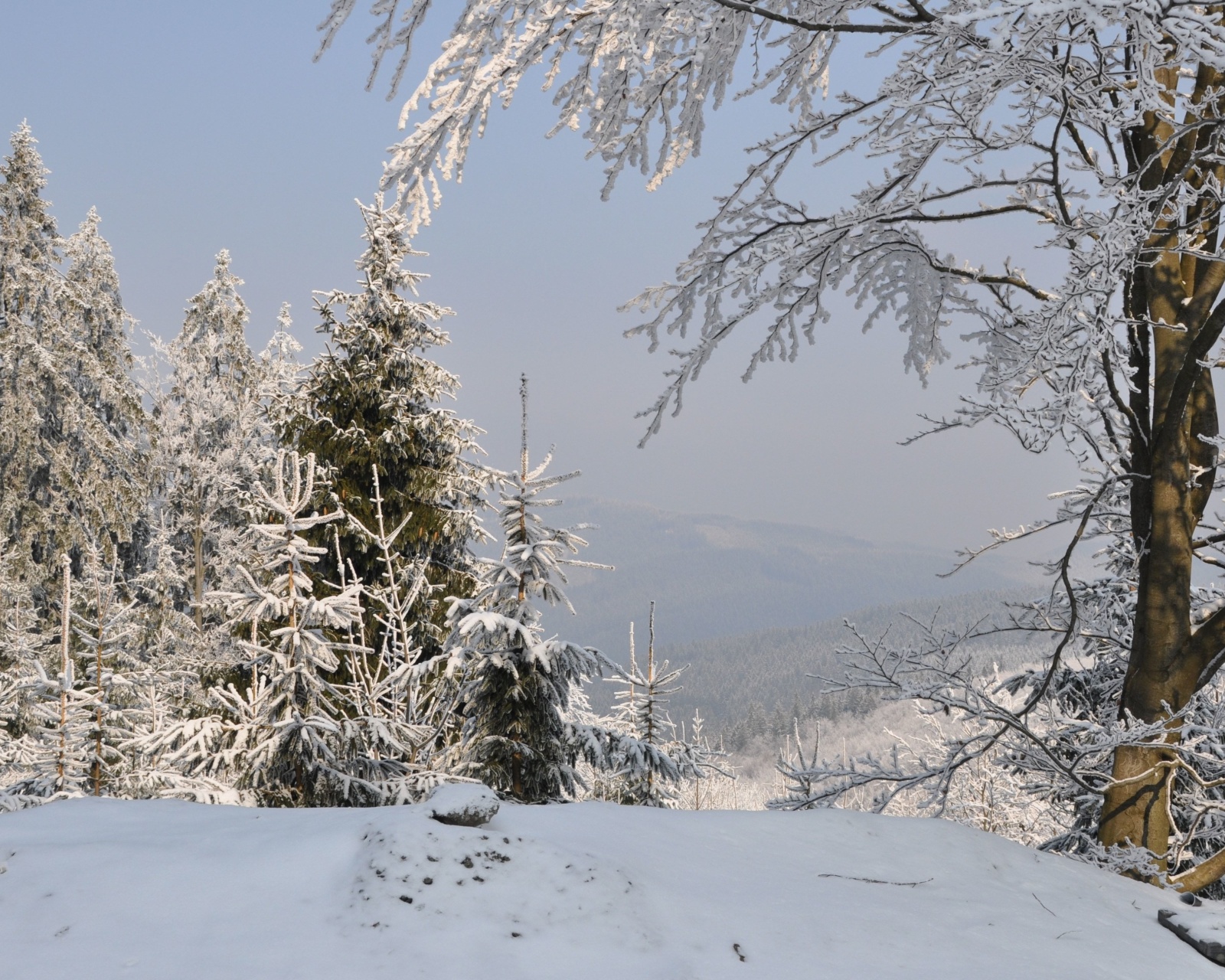 Snow landscape wallpaper 1600x1280