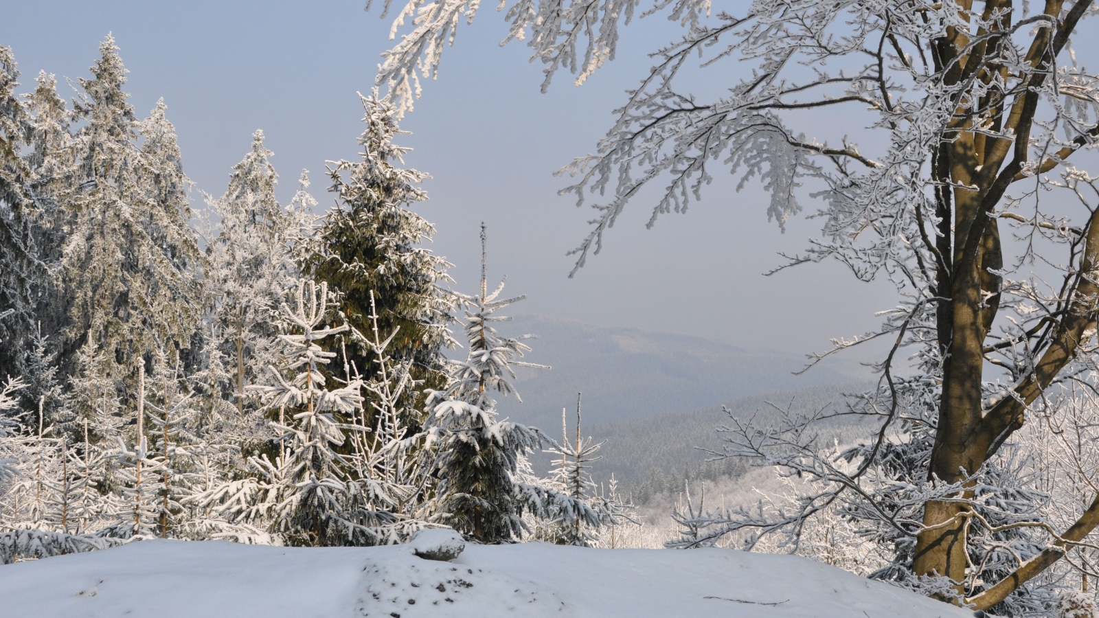 Snow landscape screenshot #1 1600x900