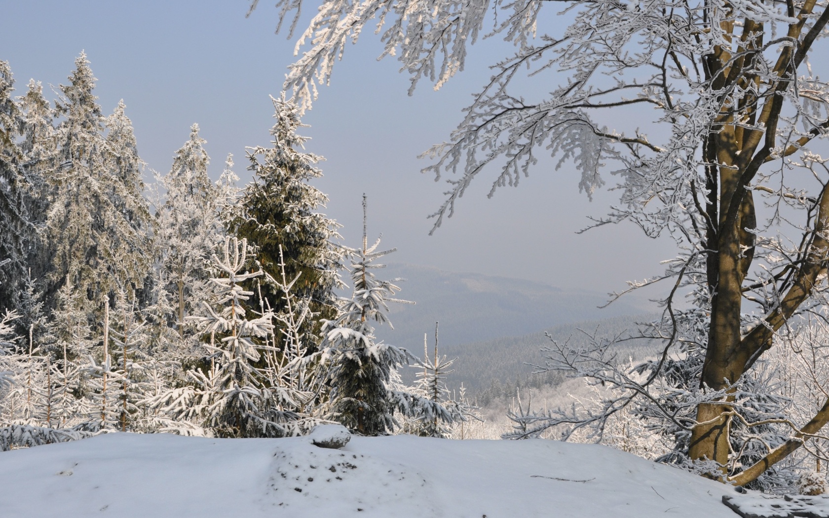 Snow landscape screenshot #1 1680x1050