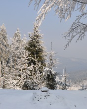 Sfondi Snow landscape 176x220