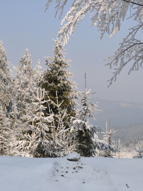 Fondo de pantalla Snow landscape 480x640