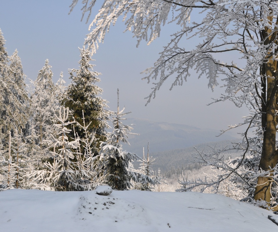 Обои Snow landscape 960x800