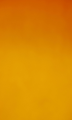 Das Orange Background Wallpaper 240x400