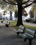 Federal Hill Park In Baltimore wallpaper 128x160