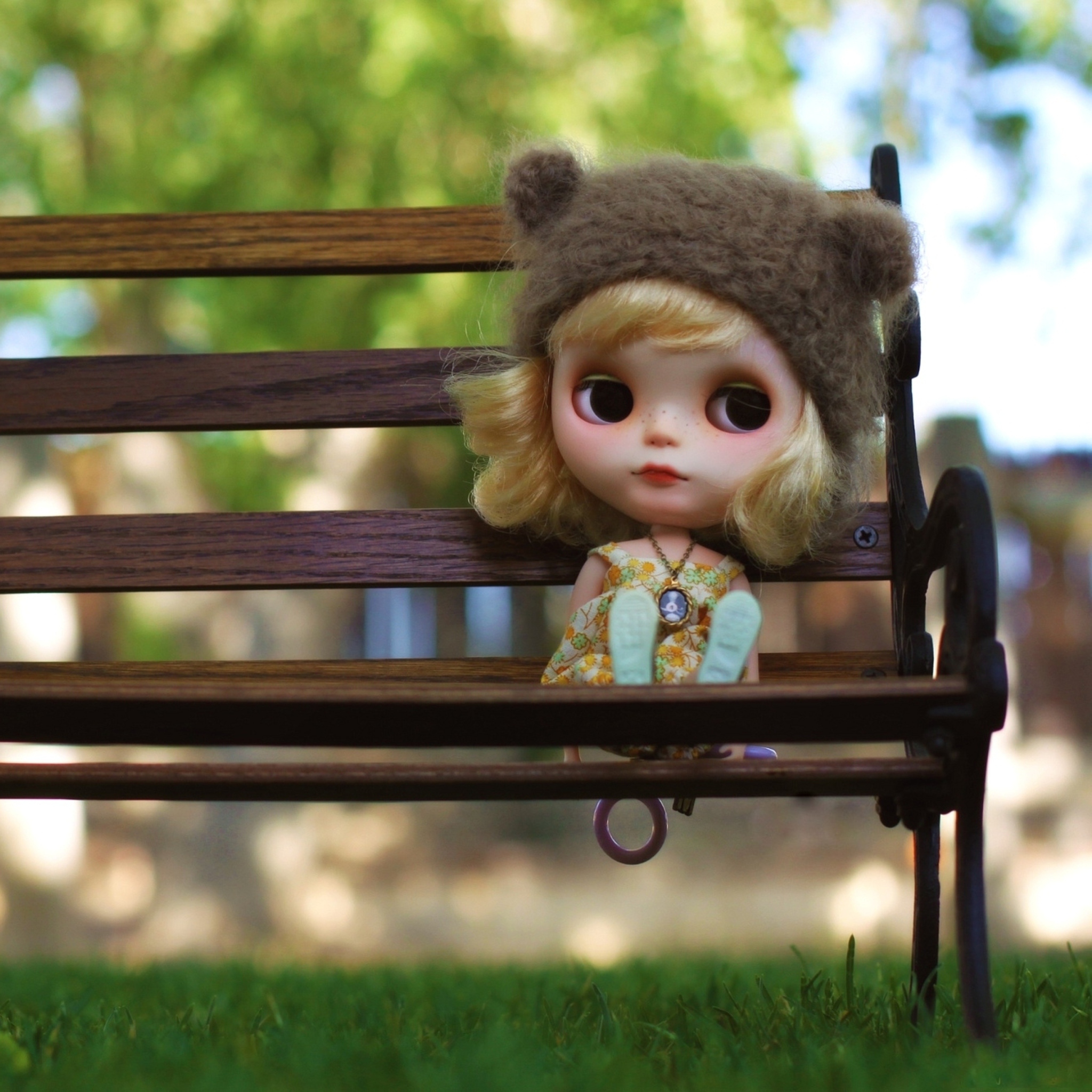 Das Doll Sitting On Bench Wallpaper 2048x2048