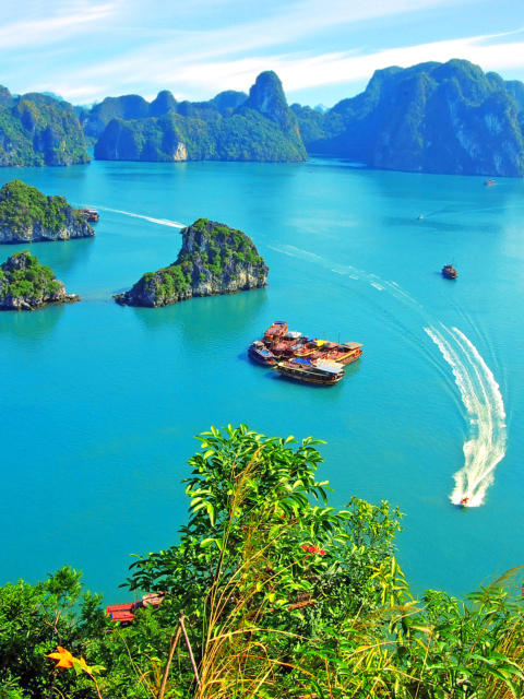 Vietnam, Halong Bay screenshot #1 480x640