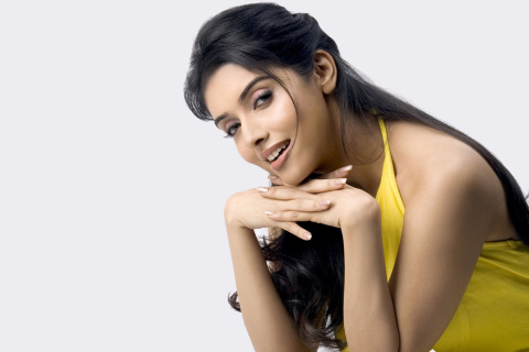 Das Asin Thottumkal Filmfare Awards Wallpaper 480x320