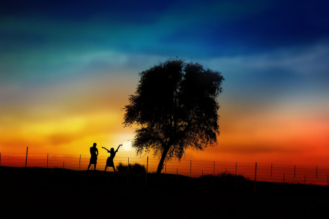 Sfondi Couple Silhouettes Under Tree At Sunset 480x320