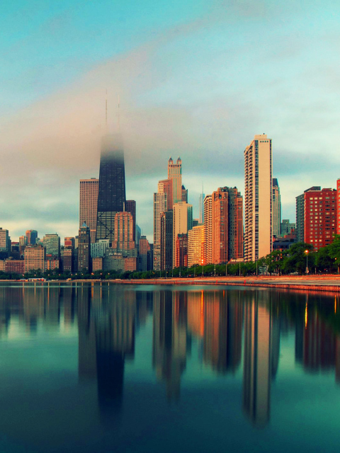 Chicago Cityscape screenshot #1 480x640
