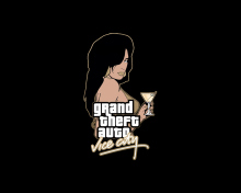 Das Grand Theft Auto Vice City Wallpaper 220x176