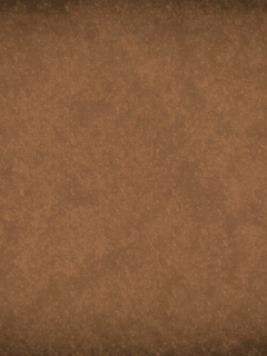 Das Brown Grunge Wallpaper 240x320