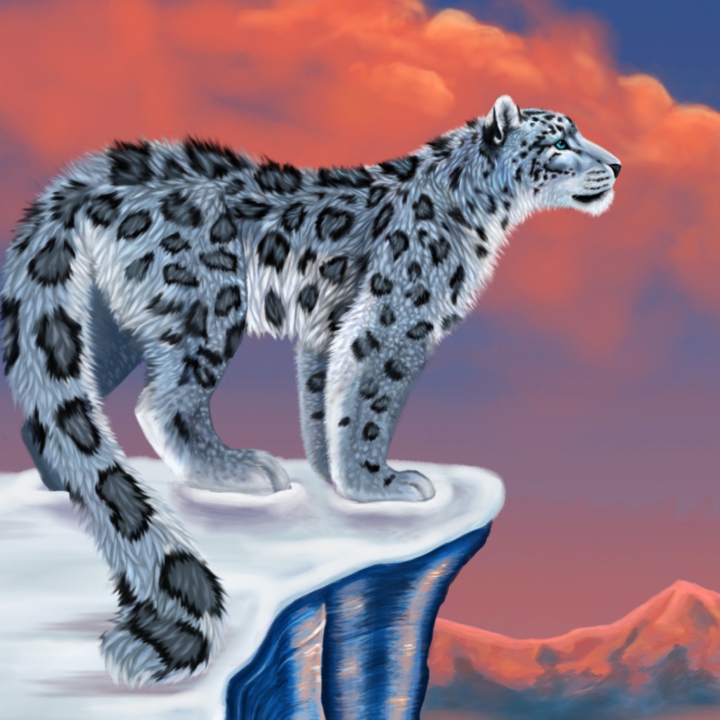 Snow Leopard Drawing wallpaper 1024x1024