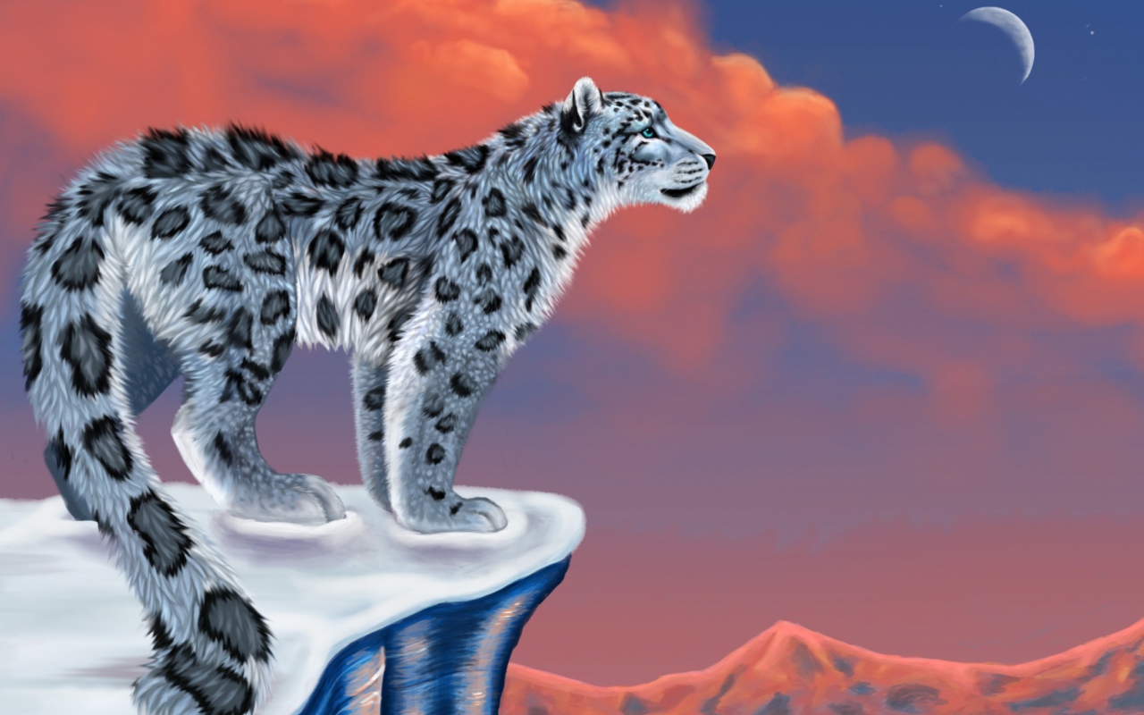 Обои Snow Leopard Drawing 1280x800