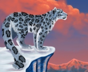 Обои Snow Leopard Drawing 176x144