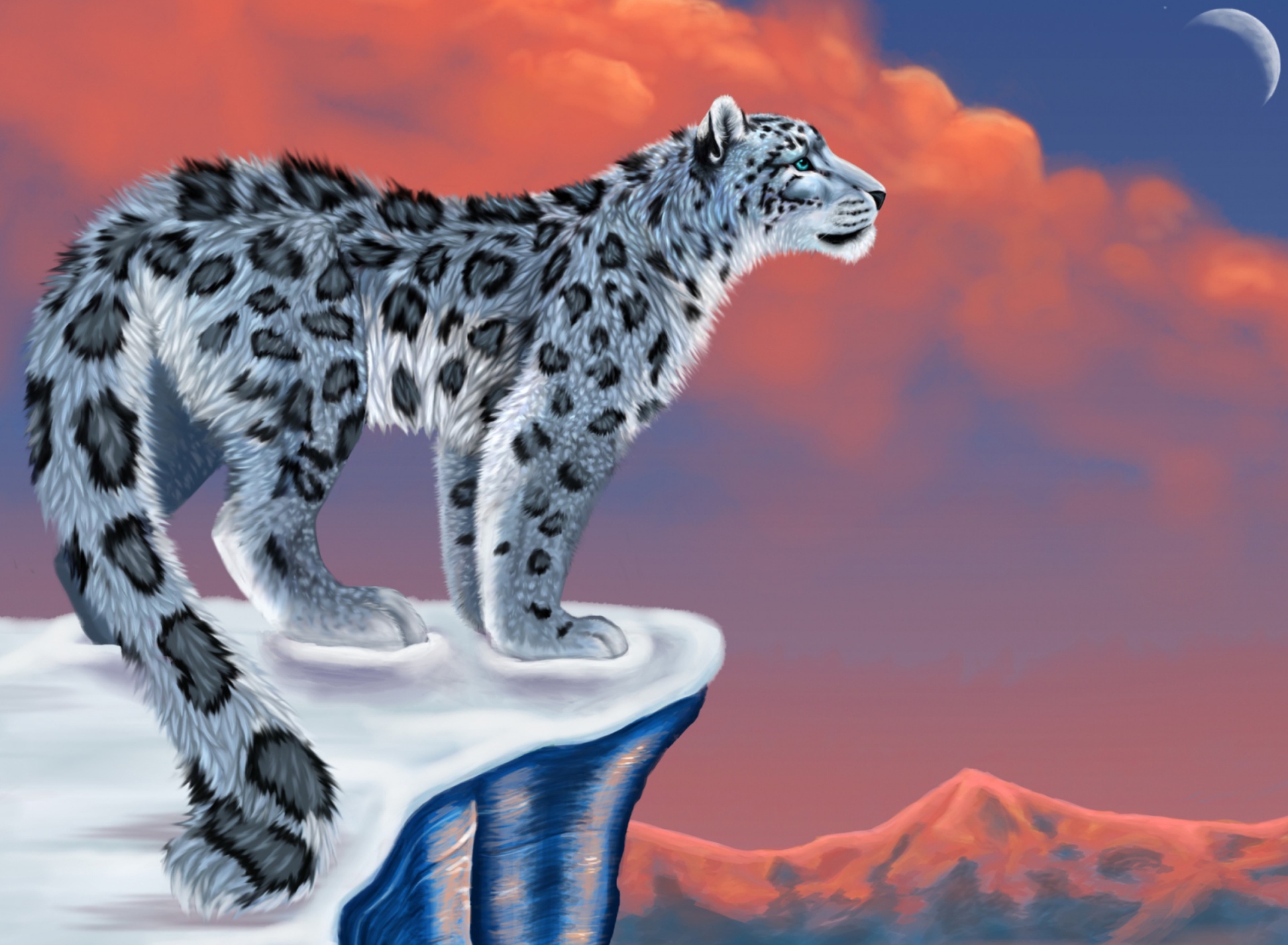 Sfondi Snow Leopard Drawing 1920x1408