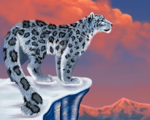 Обои Snow Leopard Drawing 220x176