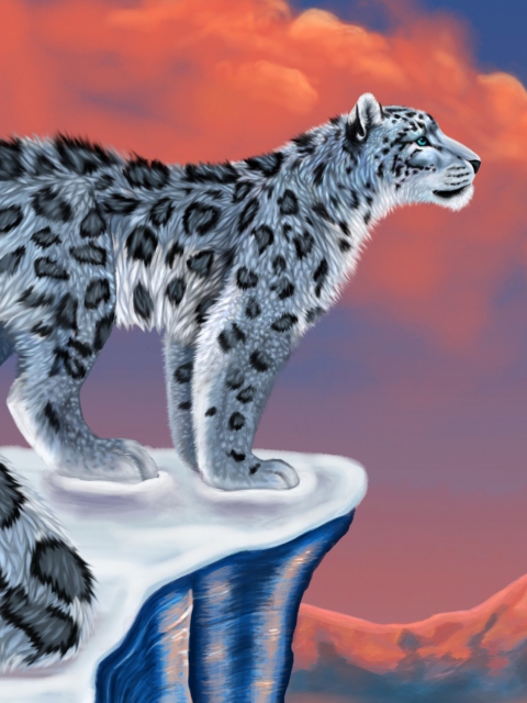 Sfondi Snow Leopard Drawing 480x640