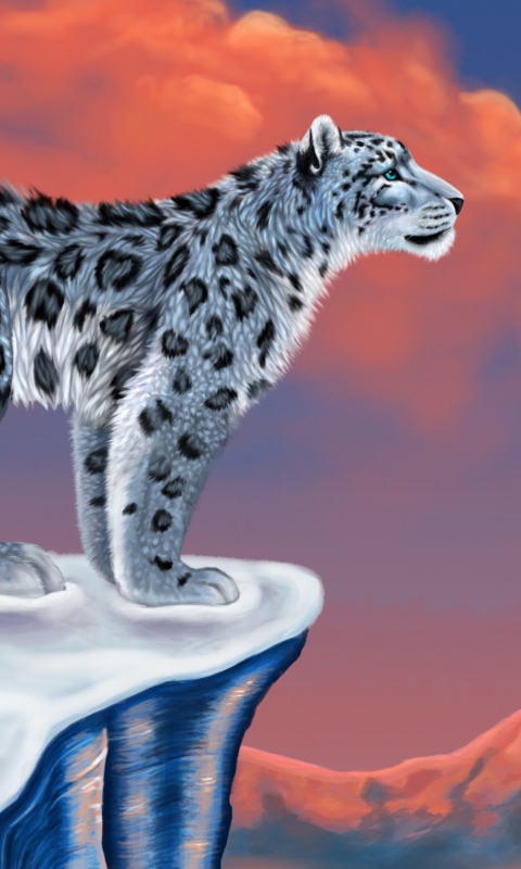 Обои Snow Leopard Drawing 480x800